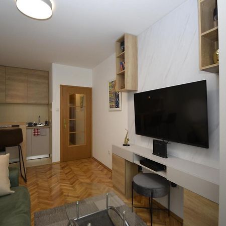 Studio Apartment Art Zone Podgoriţa Exterior foto