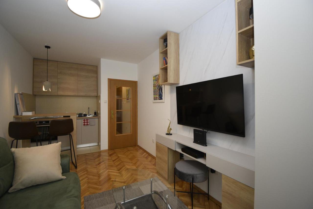 Studio Apartment Art Zone Podgoriţa Exterior foto